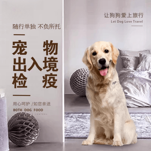 珠海市宠物托运到哥伦比亚猫狗宠物入境规定和