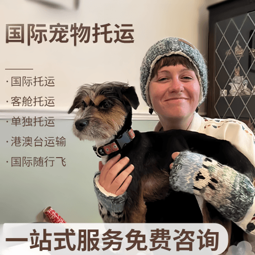 珠海市国际宠物托运到阿根廷宠物入境规定和要