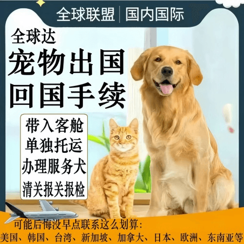 珠海市宠物托运到柬埔寨宠物入境规定和要求