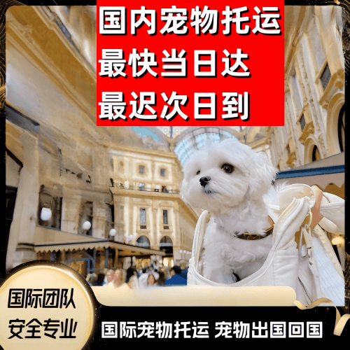 珠海市到澳大利亚（澳洲）宠物入境规定和要求