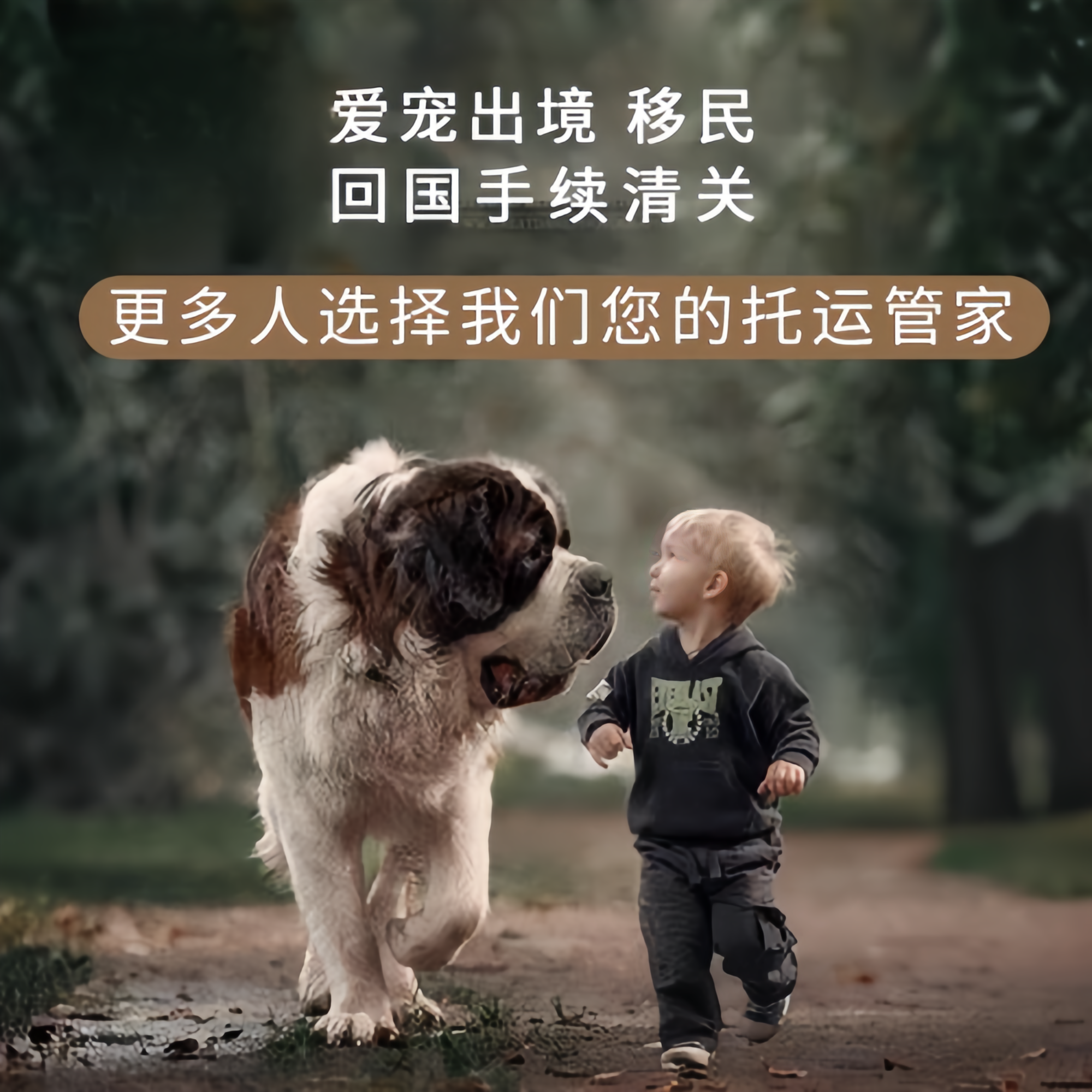满财珠海市宠物全球达宠物托运在遵守入境目的地政策的条件